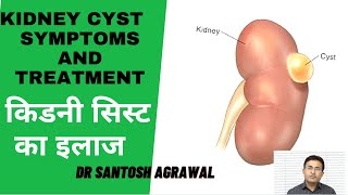 Kidney function and anatomy  Renal system physiology  NCLEXRN  Khan Academy [upl. by Decker]