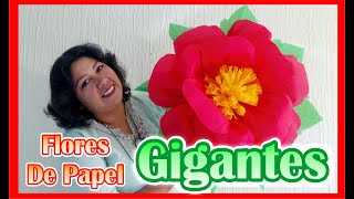 DIY  Como Hacer Flores De Papel Crepe  GIGANTES [upl. by Gasperoni355]