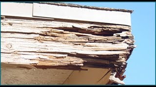 Repairing Rotten Fascia On A House  THE HANDYMAN [upl. by Northway]