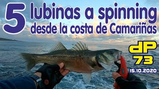 Pesca de 5 lubinas a spinning desde la costa de Camariñas Fishing 5 seabass from the coast [upl. by Ynahpit]