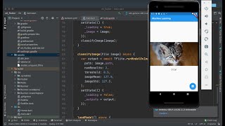1 TensorFlow Lite amp Flutter Machine learning model  for iOS and Android [upl. by Rainwater281]
