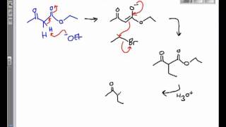 The Acetoacetic Ester Synthesis [upl. by Hepza]