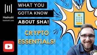 Secure Hash Algorithm Explained SHA [upl. by Braasch593]