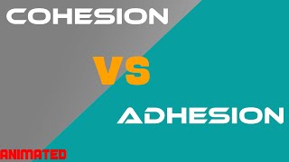 Cohesion vs Adhesion  Difference Between Cohesion and Adhesion  Tpoint Tech [upl. by Akcire]