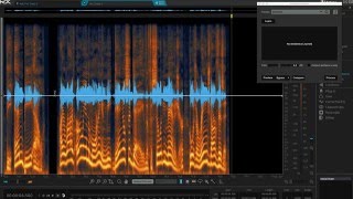 RX Audio Repair Master Class  iZotope RX 5 Audio Editor Tips amp Tricks [upl. by Ettelegna]