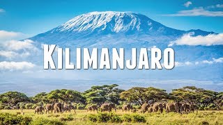 CLIMBING MOUNT KILIMANJARO [upl. by Magena]