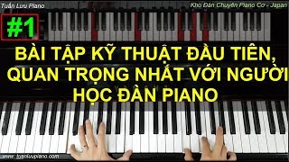 ✅ 1  Bài Kỹ Thuật Đầu Tiên Quan Trọng Nhất Khi Học Piano  Tuấn Lưu Piano [upl. by Roberson949]