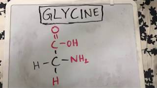 Glycine Structure  Amino Acid Basics [upl. by Anirok47]