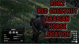 RDR2 RED CHESTNUT ARABIAN HORSE LOCATION [upl. by Wake]