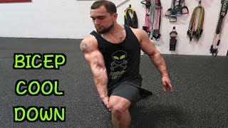 5 Minute Bicep Static Stretching Routine  Cool Down [upl. by Morrison456]