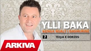 Ylli Baka  Teqja e Dorzes Official Audio [upl. by Dennard]