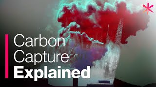 Carbon Capture Technology Explained  Seachange [upl. by Adnauqaj145]