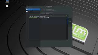 Automatically mounting a NTFS drive in Linux Mint 191 [upl. by Melone194]