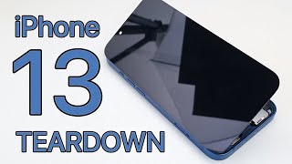 iPhone 13 Teardown  Full Disassembly [upl. by Ewnihc]