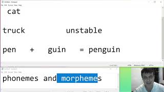 Phonemes and Morphemes the basics [upl. by Aihcropal38]