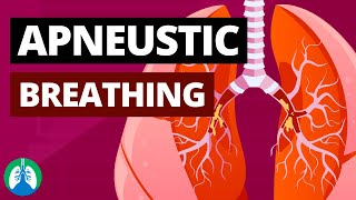 Apneustic Breathing Medical Definition Quick Explainer Video [upl. by Bocoj]