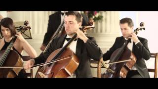 Vivaldi The Four Seasons Summer LEstate 3rd movement [upl. by Castera]