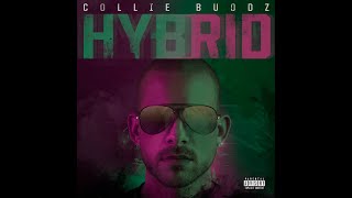 Collie Buddz  Everything Blessed feat Tech N9ne [upl. by Ahserak]