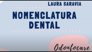 Nomenclatura dental introducción grupos dentarios nomenclaturas PALMER ADA FDI [upl. by Longfellow]