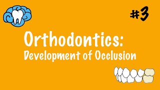 Orthodontics  Development of Occlusion  INBDE ADAT [upl. by Pincince877]