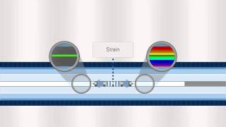 FBG Optical Sensing Overview [upl. by Nelav699]