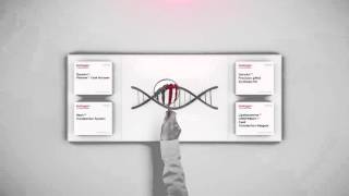 How CRISPR Cas9 works animation explained in 1 minute [upl. by Alor]