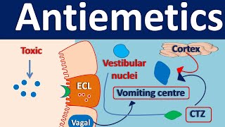 Antiemetics [upl. by Cyd573]