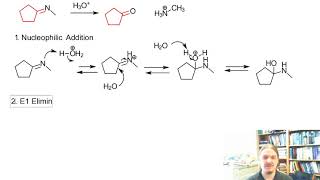 Imine Hydrolysis [upl. by Etnoved287]