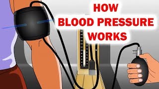 How Blood Pressure Works Animation  Sphygmomanometer  Blood Pressure [upl. by Skylar851]