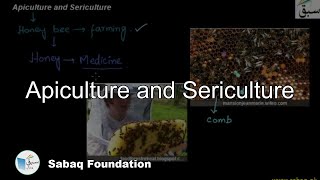 Apiculture Sericulture Biology Lecture  Sabaqpk [upl. by Grimonia]