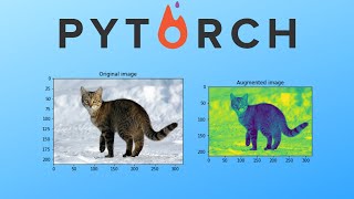 Pytorch Data Augmentation using Torchvision [upl. by Kenweigh]