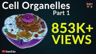 Cell Organelles  Part 1  Animation Video  Iken Edu [upl. by Bobseine1]