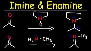 Imine and Enamine Formation Reactions With Reductive Amination [upl. by Adelheid]