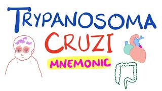 Trypanosoma Cruzi Mnemonic  Chagas Disease [upl. by Hurlee]