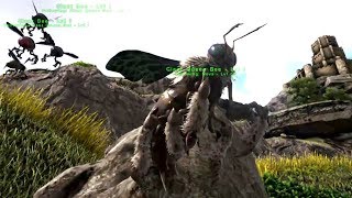 Episode 90 How to Tame Bees and Get a Beehive on Ragnarok  Ark Ragnarok Survival Guide [upl. by Aibar789]