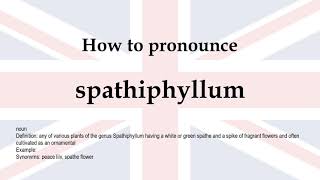 How to pronounce spathiphyllum  meaning [upl. by Notsehc11]