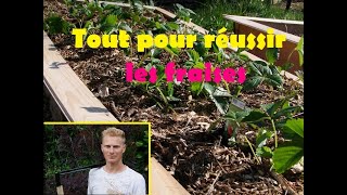 comment réussir les fraises [upl. by Ahsikym]