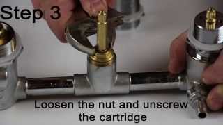 Insignia How To Water Flow Cartridge Removal and Replacement [upl. by Liagiba594]