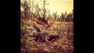 SMÅLANDSJÄGARNA  Älgjakt i Jämtland [upl. by Assiran]