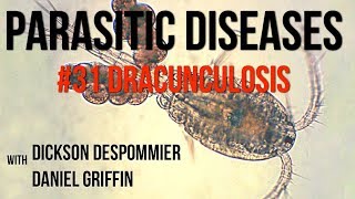 Parasitic Diseases Lectures 31 Dracunculosis [upl. by Putscher]