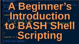 A Beginners Introduction to BASH Shell Scripting [upl. by Audsley851]