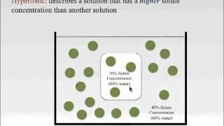 Isotonic Hypotonic and Hypertonic Solutionsmov [upl. by Eduardo227]