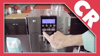 DeLonghi Gran Dama ESAM 6600  Crew Review [upl. by Swanhilda]