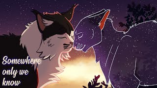 Ravenpaw and Barley  Somewhere only we know [upl. by Machos]