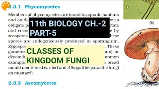 Class 11 BiologyCh2 Part5Classes of FungiStudy with Farru [upl. by Onaivlis511]