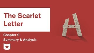 The Scarlet Letter  Chapter 23 Summary and Analysis  Nathaniel Hawthorne [upl. by Hum]