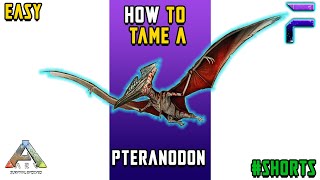 HOW TO TAME A PTERANODON Ark Survival Evolved SHORTS [upl. by Garlinda878]