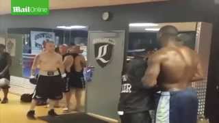 Deontay Wilder Knocks Out Internet Troll Charlie Zelenoff In Real Life [upl. by Anotal]