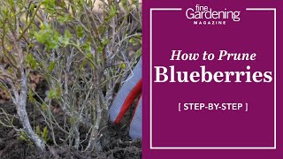 How to Prune Blueberries [upl. by Partridge]