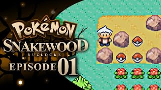 Pokémon Snakewood Nuzlocke w TheKingNappy  Ep 1 quotCALL ME WRAITHquot [upl. by Kalil]